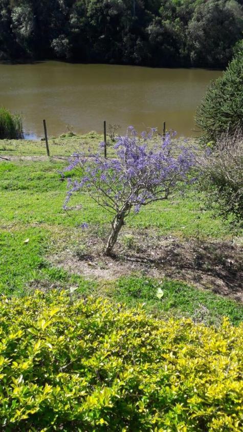 Fazenda à venda com 2 quartos, 710000m² - Foto 24