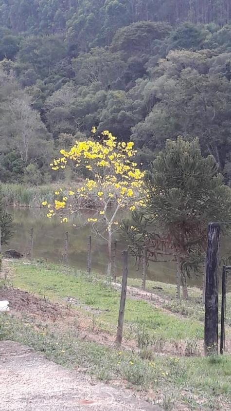 Fazenda à venda com 2 quartos, 710000m² - Foto 28