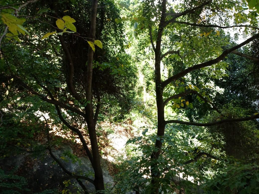 Apartamento, 1 quarto, 40 m² - Foto 7