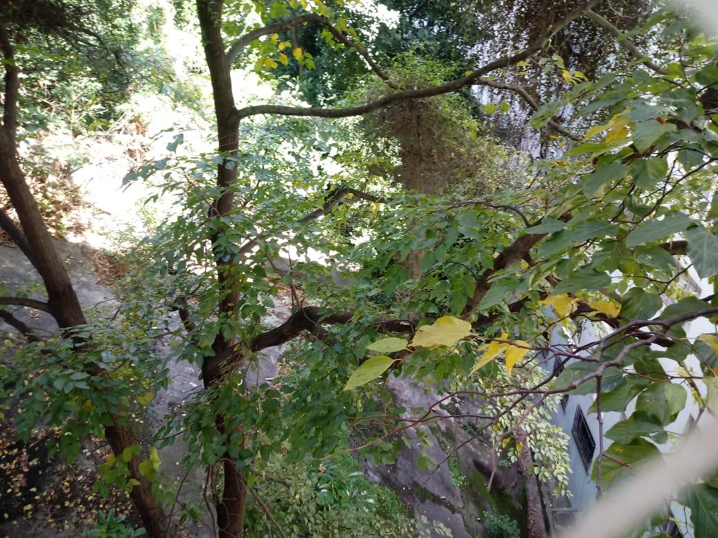 Apartamento, 1 quarto, 40 m² - Foto 8