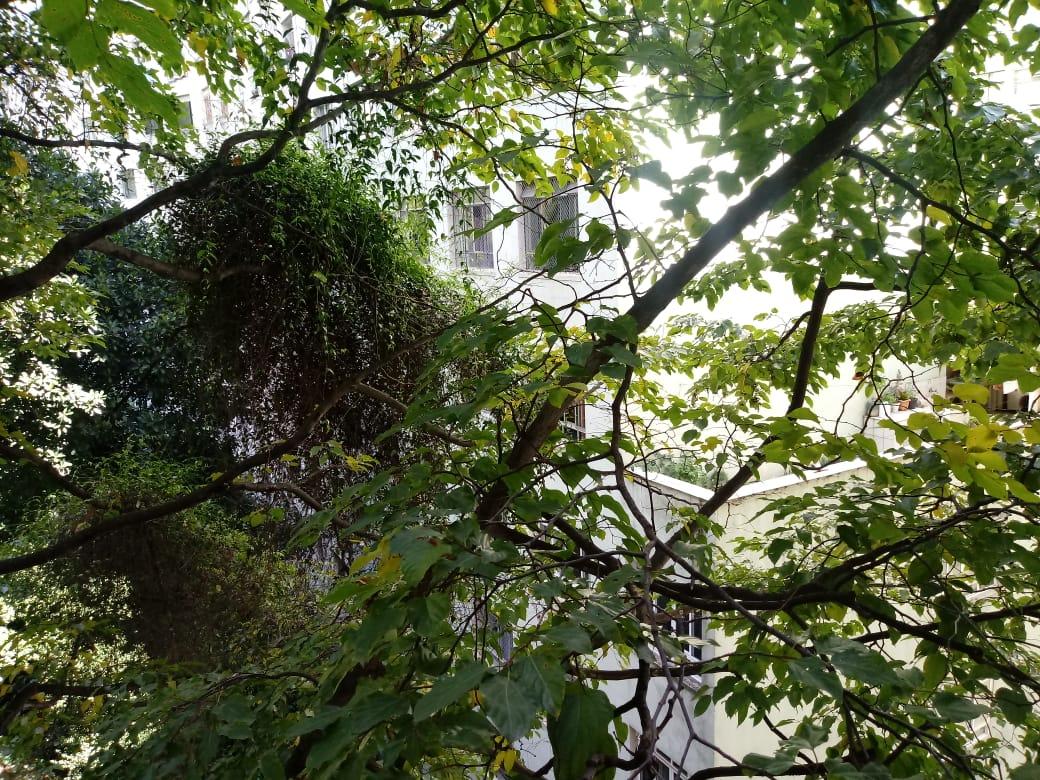 Apartamento, 1 quarto, 40 m² - Foto 9