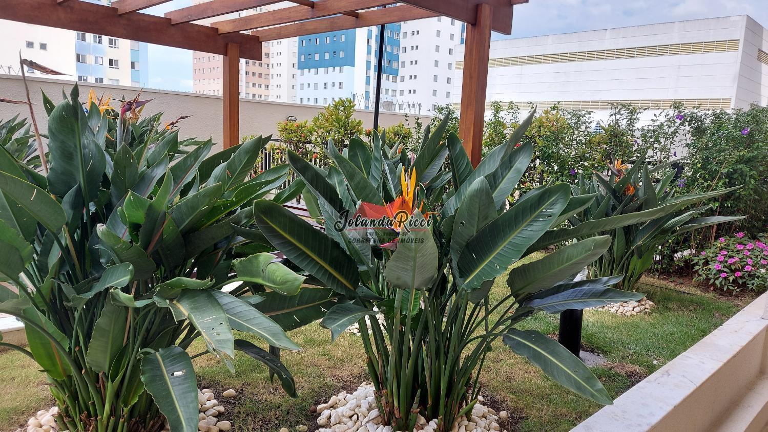 Apartamento, 3 quartos, 90 m² - Foto 31
