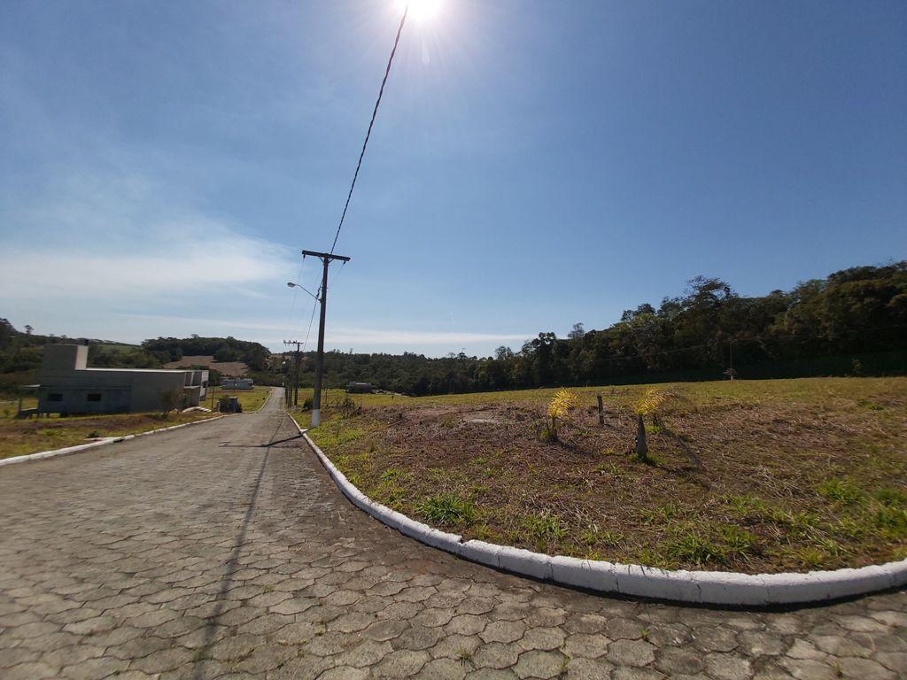 Terreno à venda - Foto 4