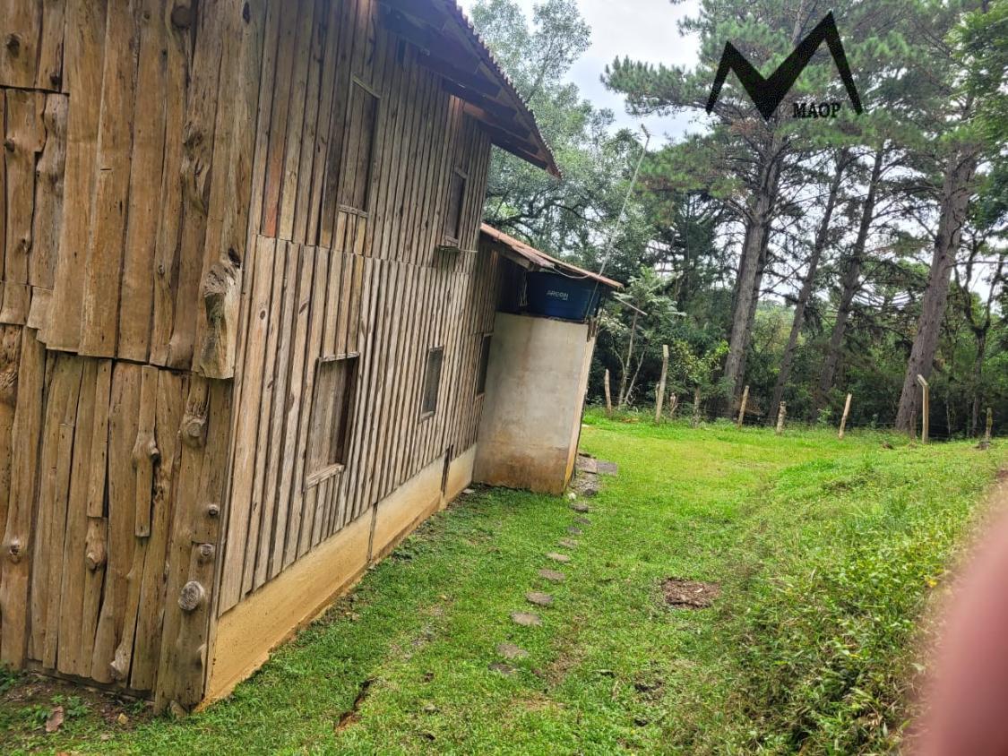 Sítio, 5 hectares - Foto 19