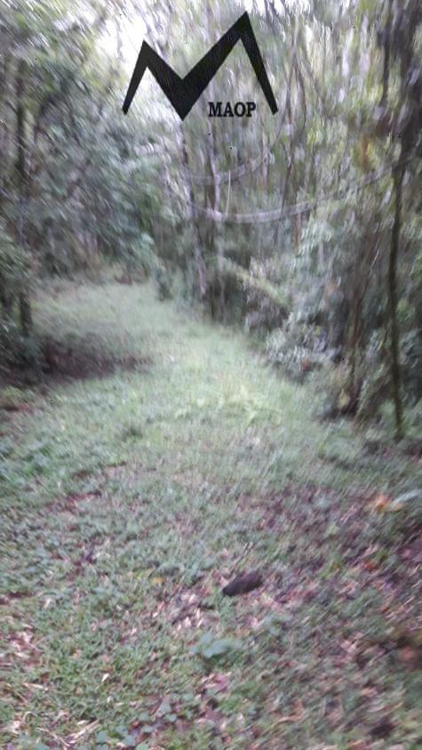 Sítio, 5 hectares - Foto 29