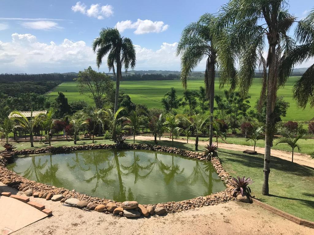 Fazenda à venda com 4 quartos, 20000m² - Foto 9