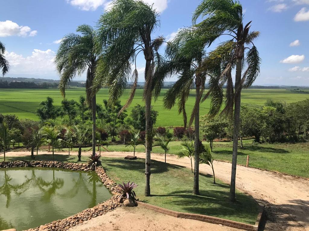 Fazenda à venda com 4 quartos, 20000m² - Foto 8