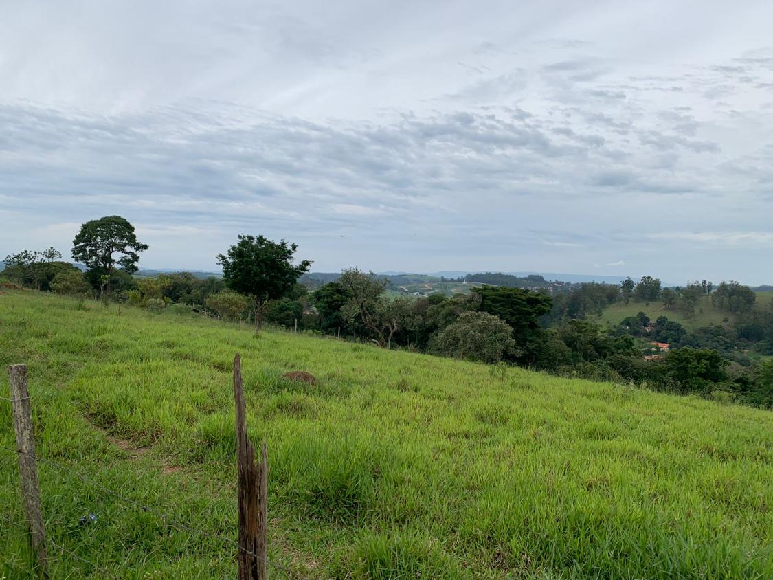 Terreno à venda - Foto 7