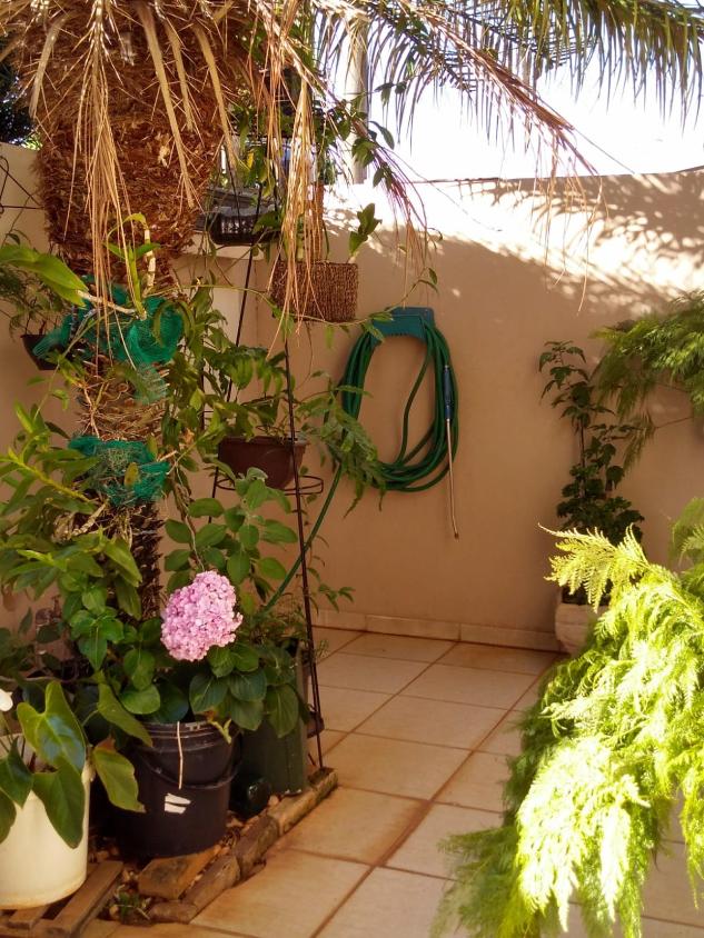 Casa, 3 quartos, 191 m² - Foto 6