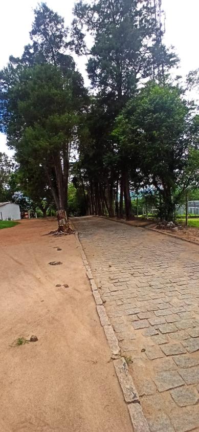 Fazenda à venda com 3 quartos, 40000m² - Foto 5