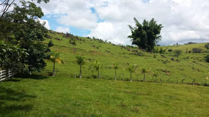 Fazenda à venda com 3 quartos, 174000m² - Foto 11