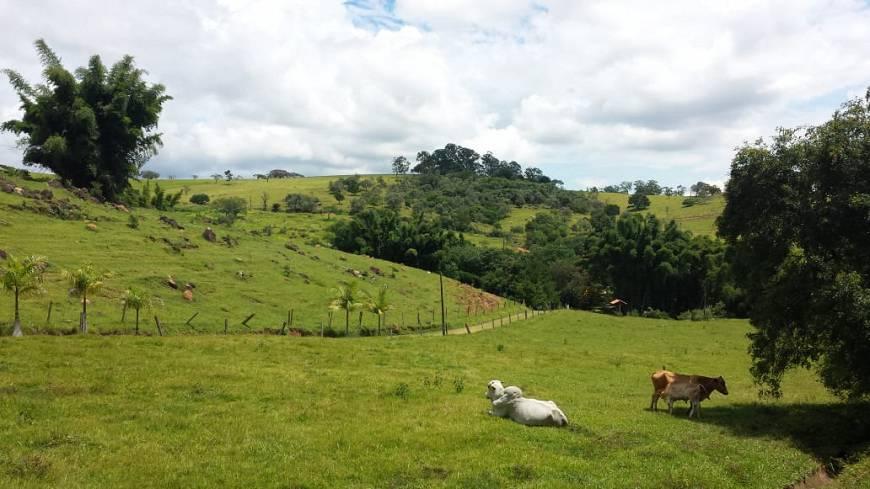 Fazenda à venda com 3 quartos, 174000m² - Foto 13