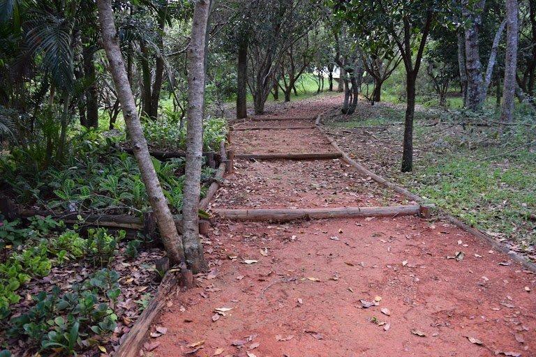 Terreno à venda - Foto 5