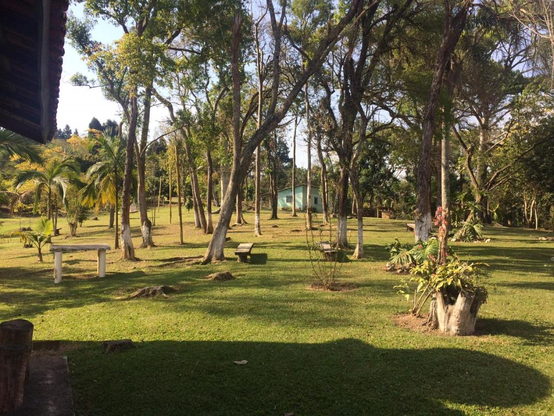 Fazenda à venda com 3 quartos, 42000m² - Foto 3