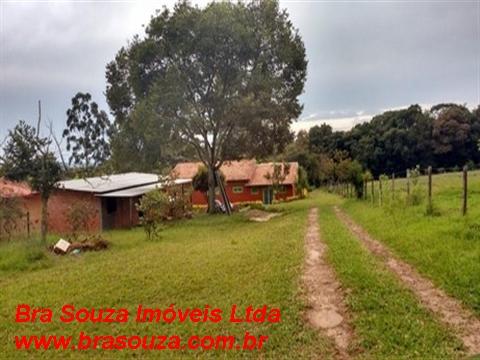 Fazenda à venda com 4 quartos, 5000m² - Foto 2