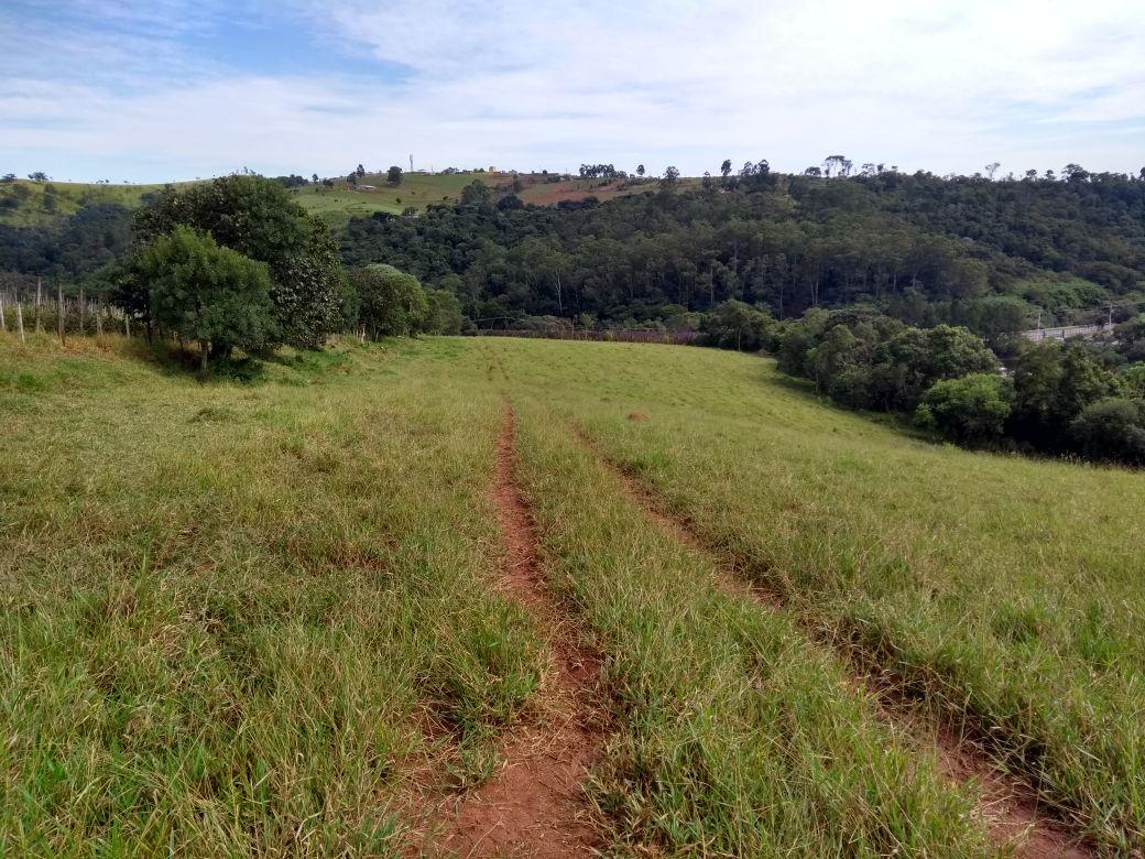 Fazenda à venda com 1 quarto, 76099m² - Foto 8