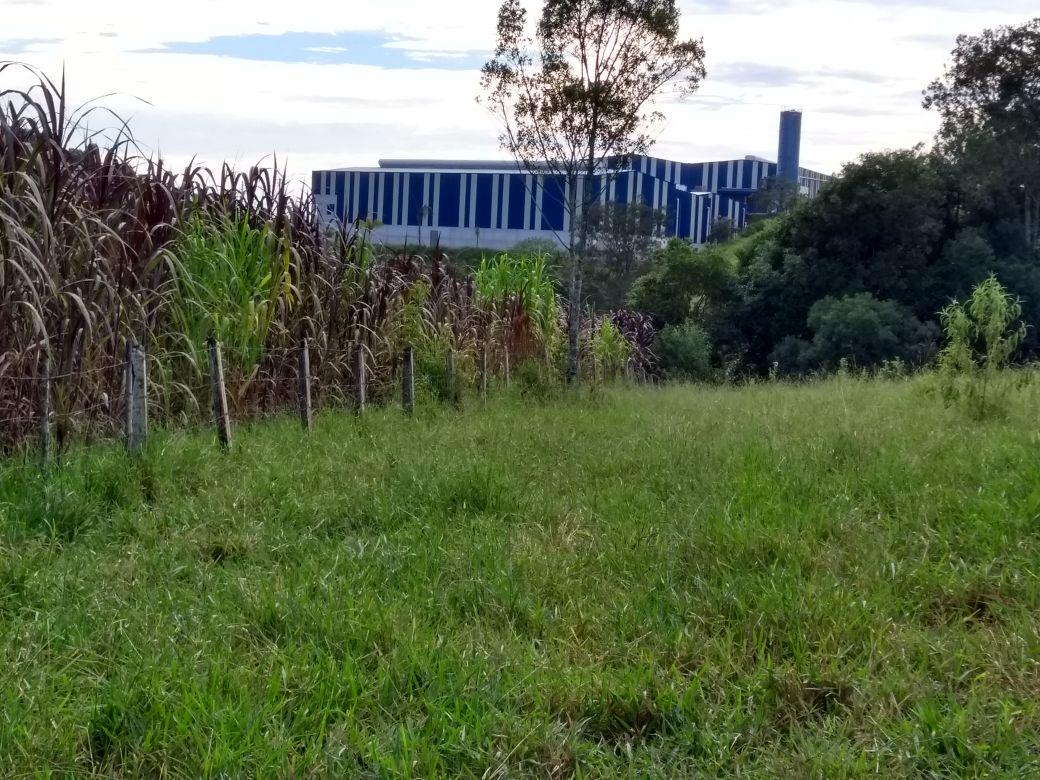 Fazenda à venda com 1 quarto, 76099m² - Foto 9