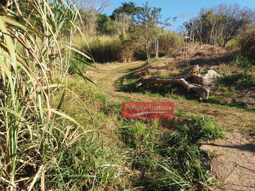 Fazenda à venda com 2 quartos, 51000m² - Foto 4