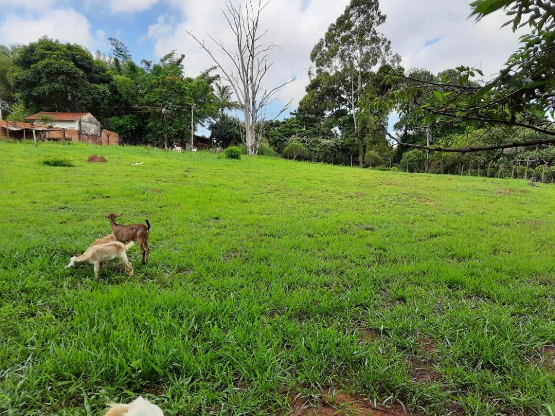 Loteamento e Condomínio à venda, 2815m² - Foto 8