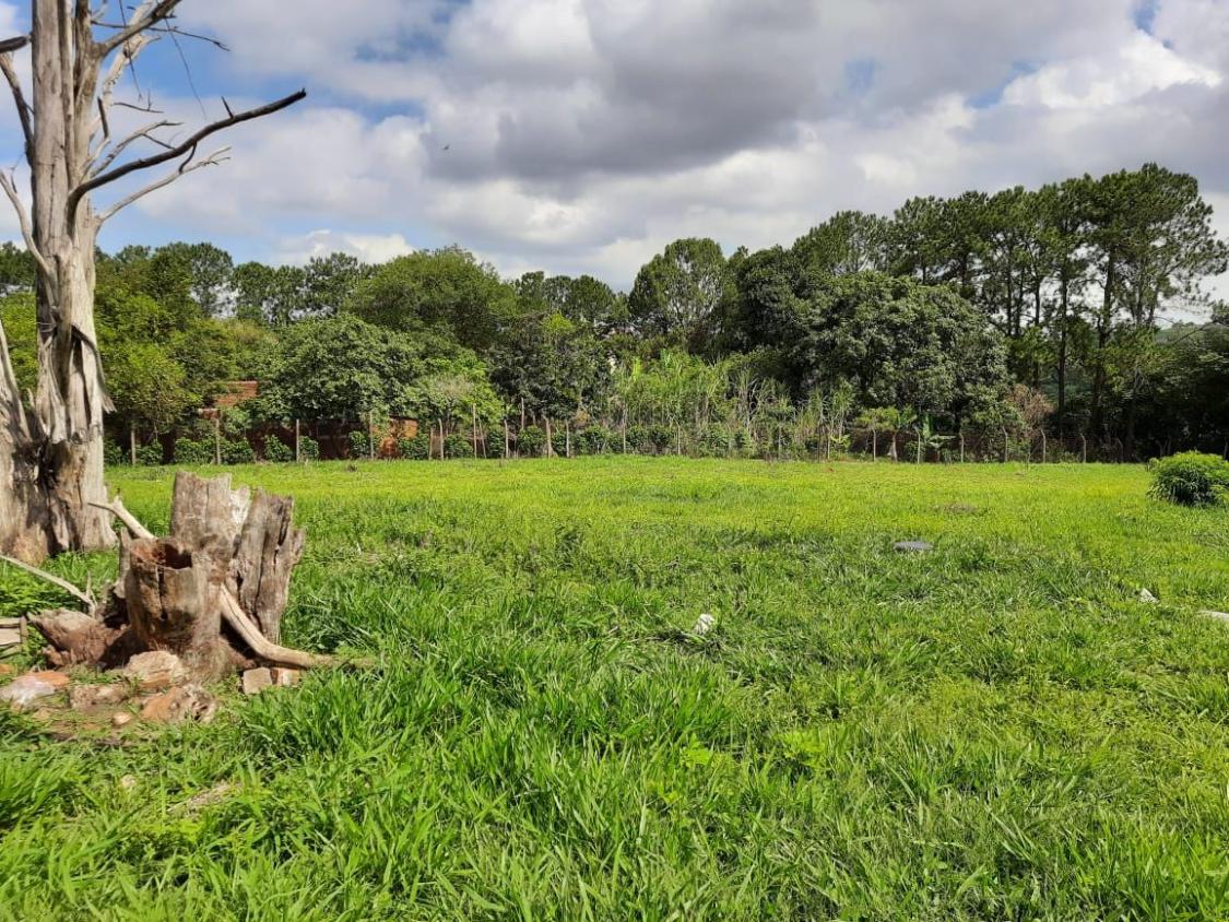 Loteamento e Condomínio à venda, 2815m² - Foto 6