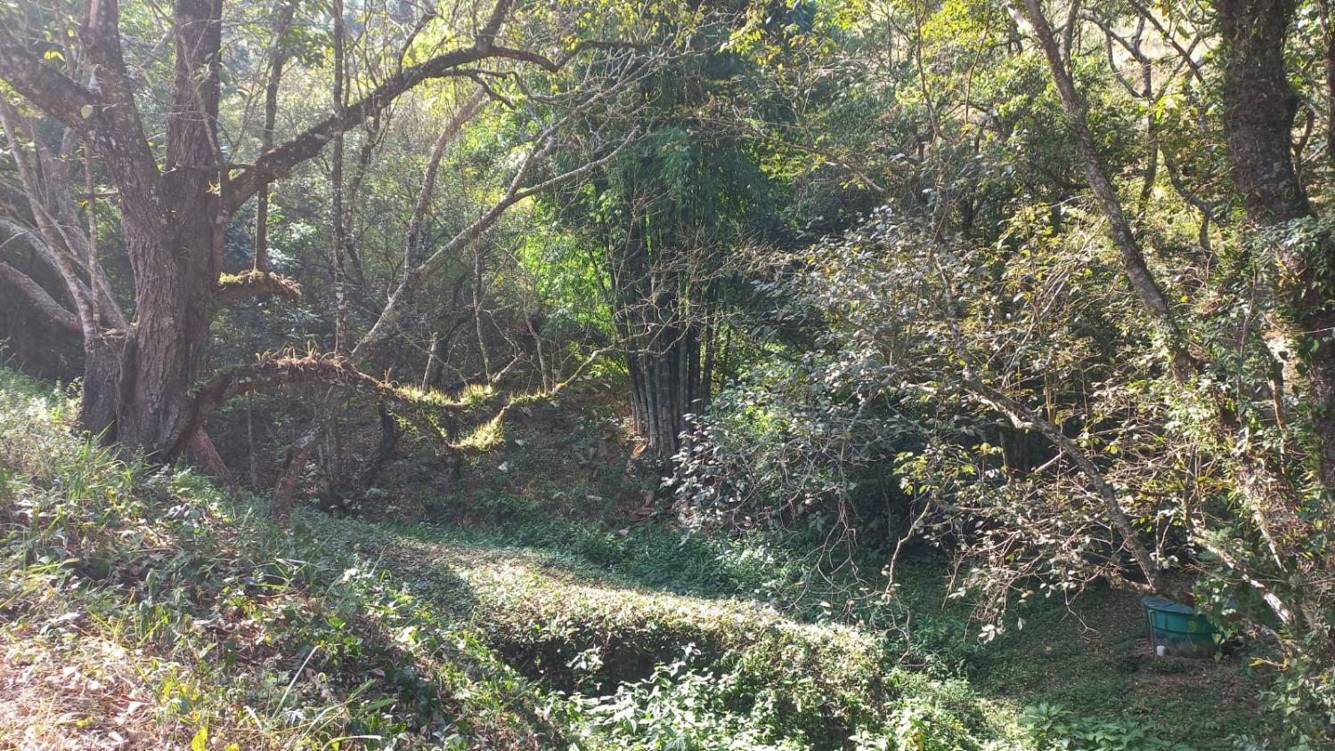 Fazenda à venda com 6 quartos, 108000m² - Foto 7