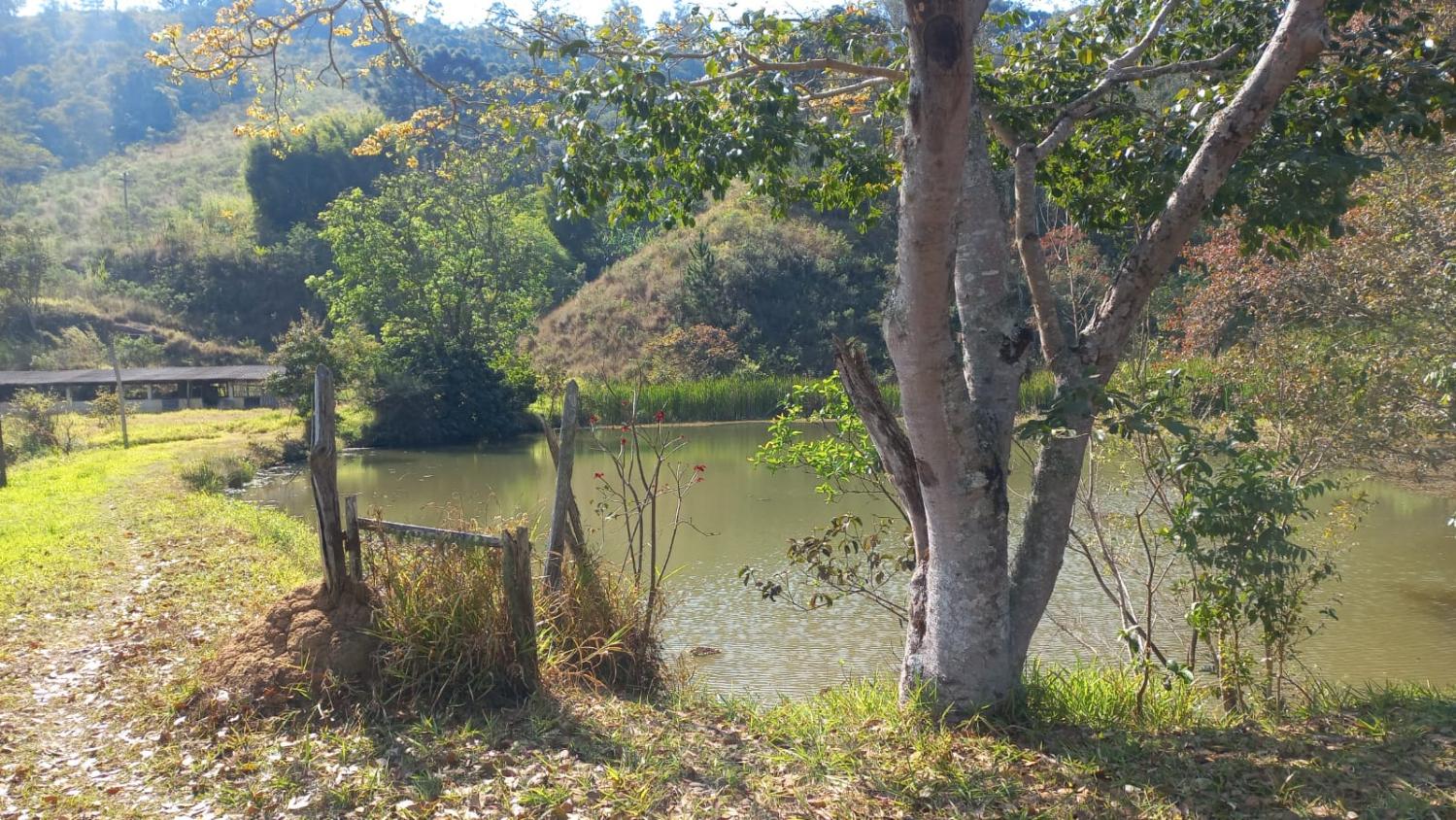 Fazenda à venda com 6 quartos, 108000m² - Foto 9