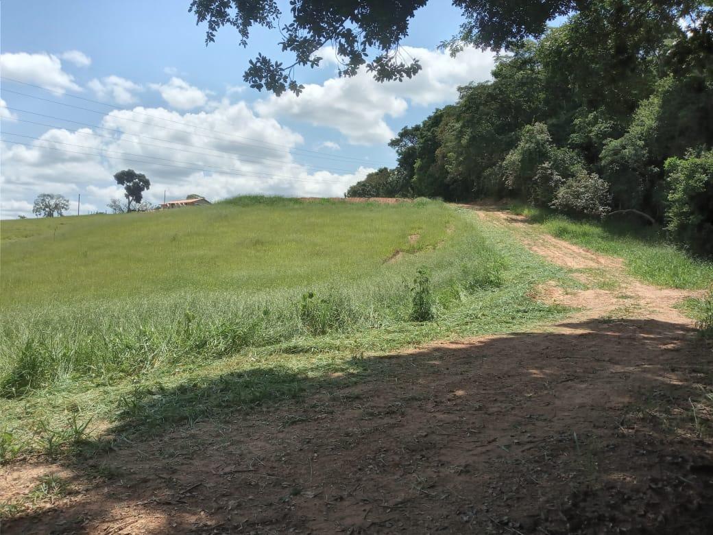 Fazenda à venda e aluguel, 30563m² - Foto 7