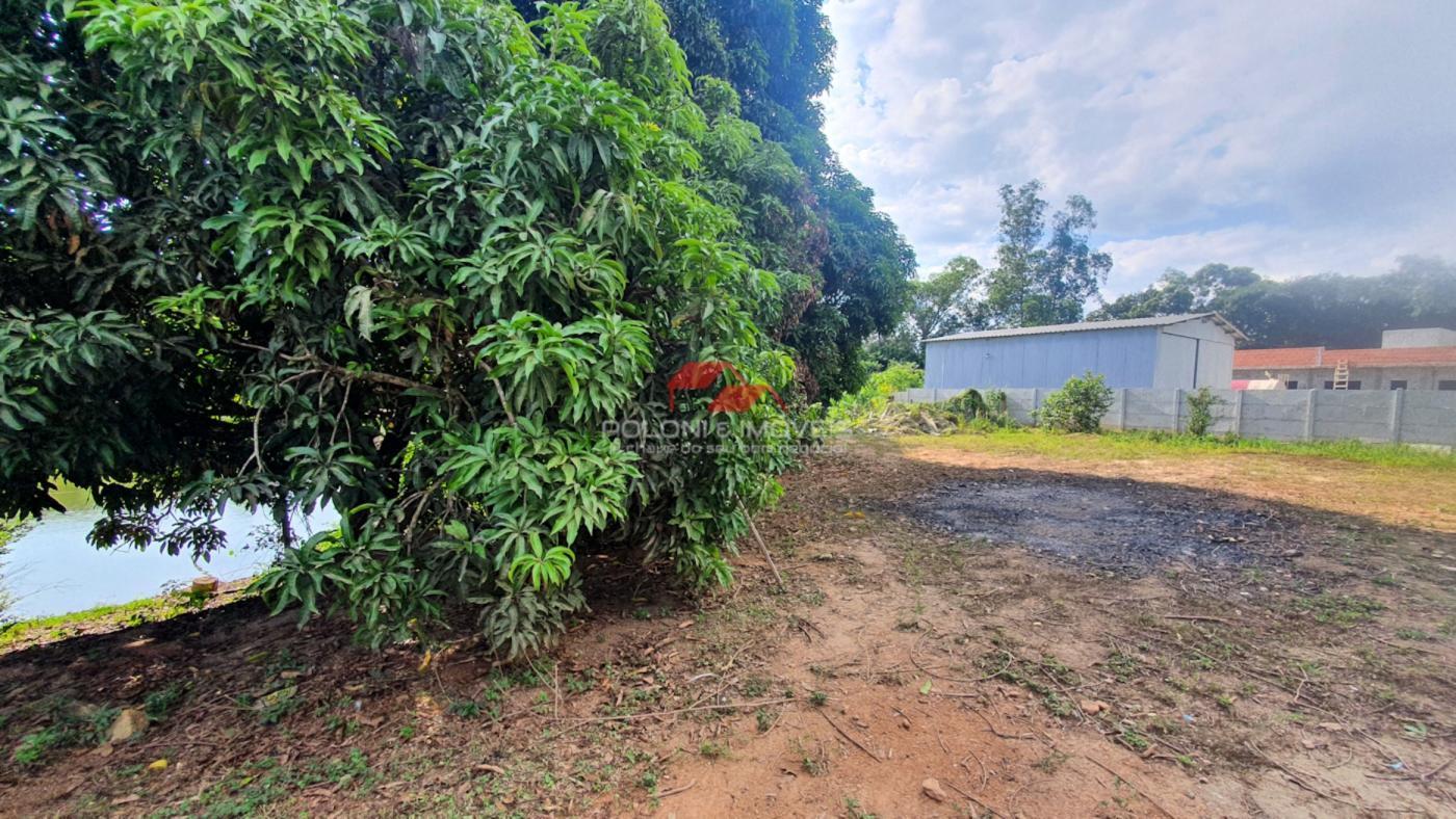 Fazenda à venda com 2 quartos, 30500m² - Foto 2