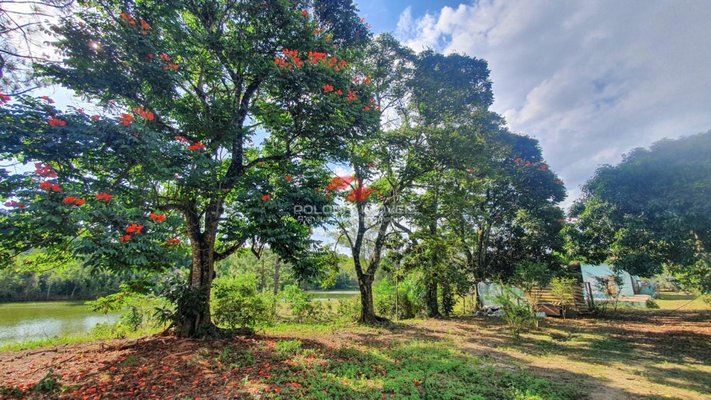 Fazenda à venda com 2 quartos, 30500m² - Foto 8