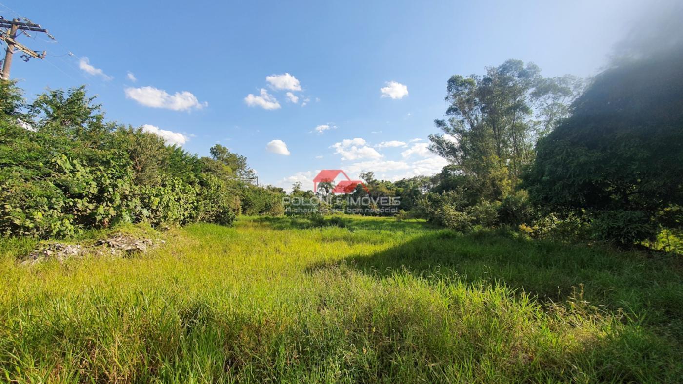 Fazenda à venda com 2 quartos, 30500m² - Foto 11