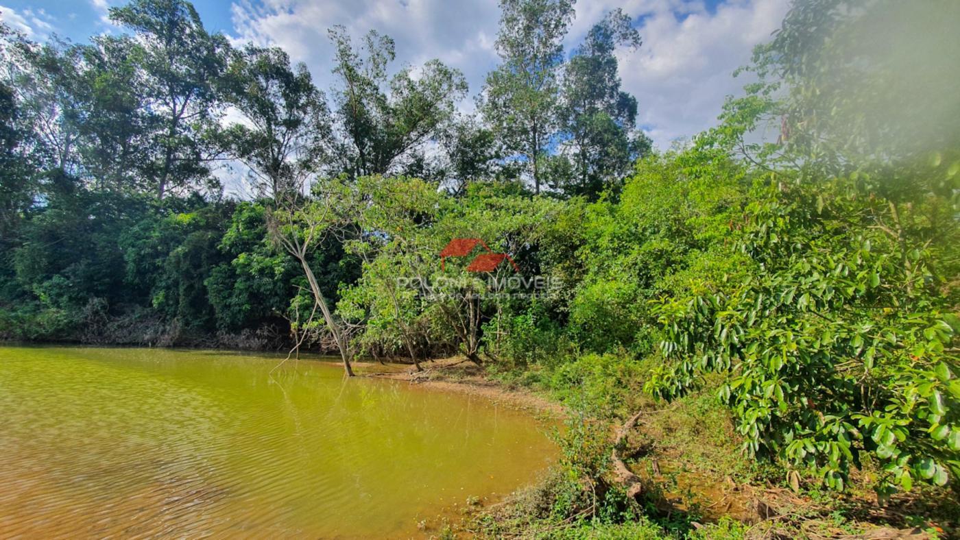 Fazenda à venda com 2 quartos, 30500m² - Foto 24