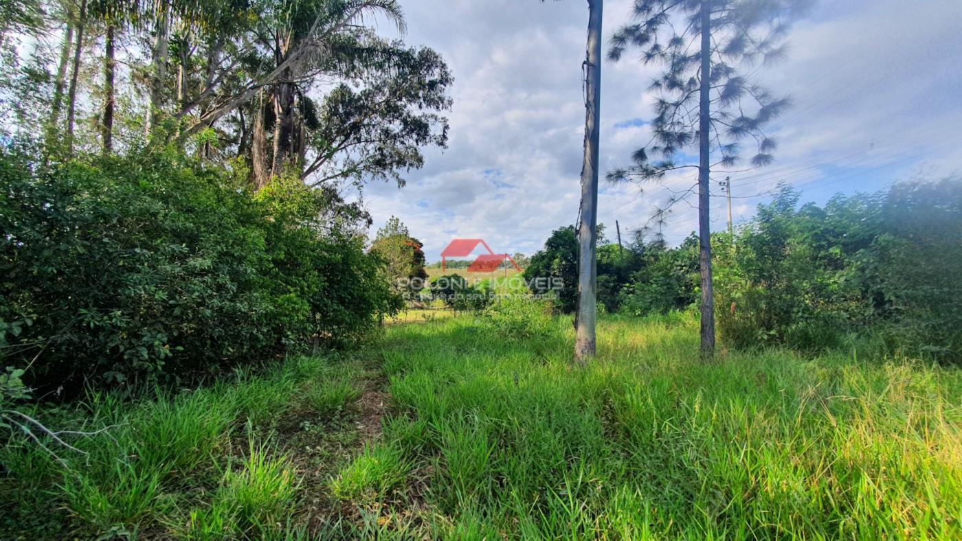 Fazenda à venda com 2 quartos, 30500m² - Foto 25