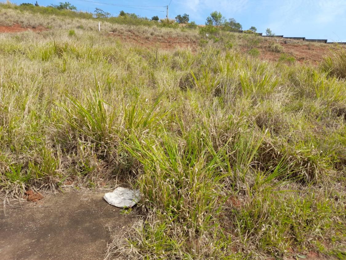 Terreno à venda, 250m² - Foto 1