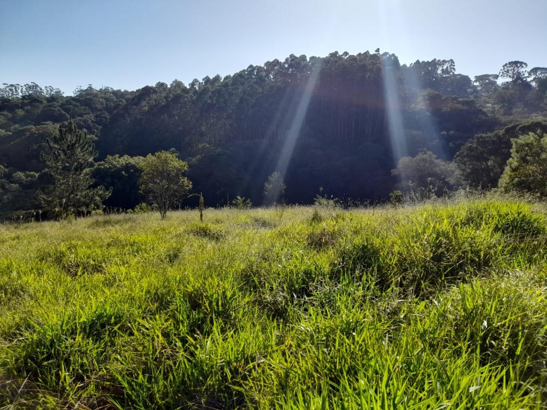 Terreno à venda, 10300m² - Foto 1