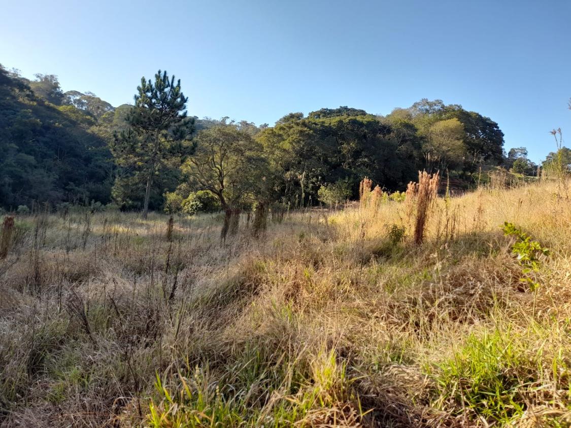 Terreno à venda, 10300m² - Foto 3