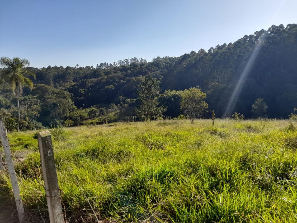 Terreno à venda, 10300m² - Foto 6