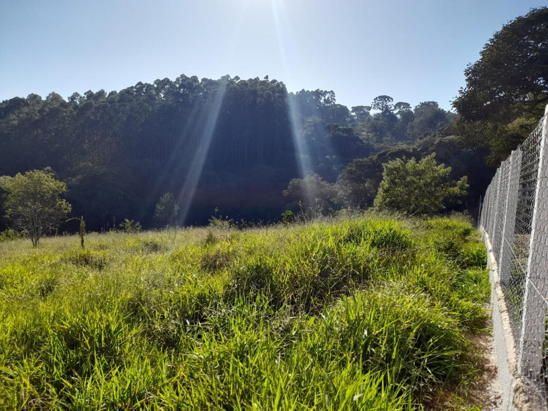 Terreno à venda, 10300m² - Foto 7