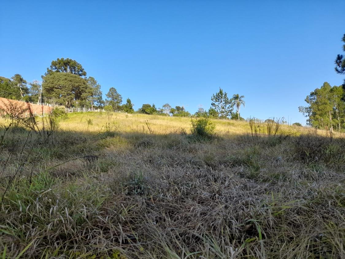 Terreno à venda, 10300m² - Foto 8