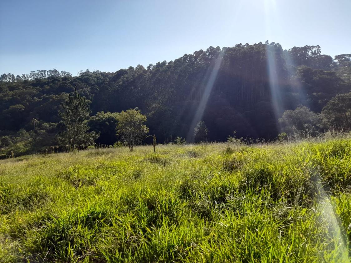 Terreno à venda, 10300m² - Foto 15