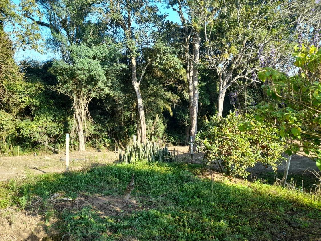 Fazenda à venda, 5850m² - Foto 12