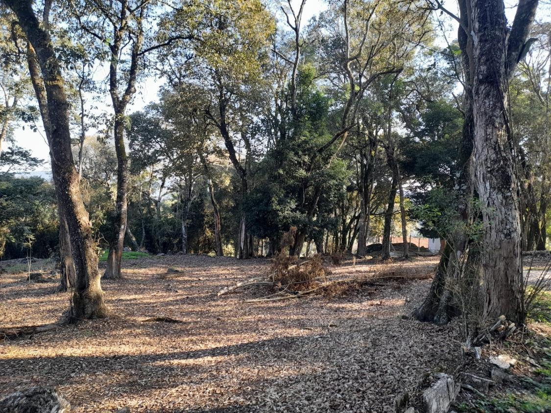 Terreno à venda, 1800m² - Foto 2