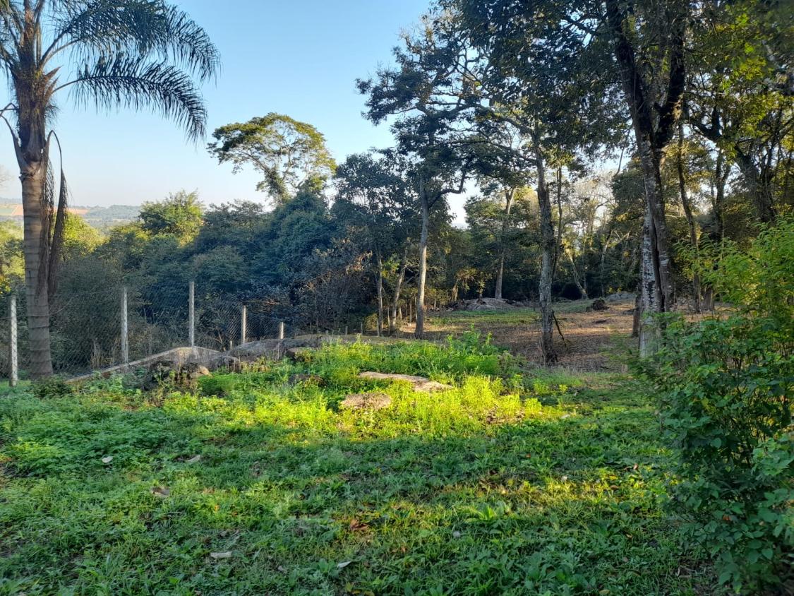 Terreno à venda, 1800m² - Foto 7