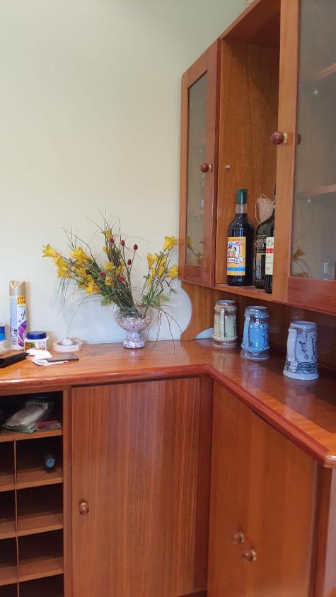 Sobrado, 4 quartos, 453 m² - Foto 6