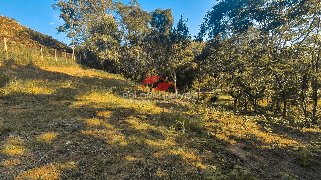 Fazenda à venda com 2 quartos, 13541m² - Foto 24