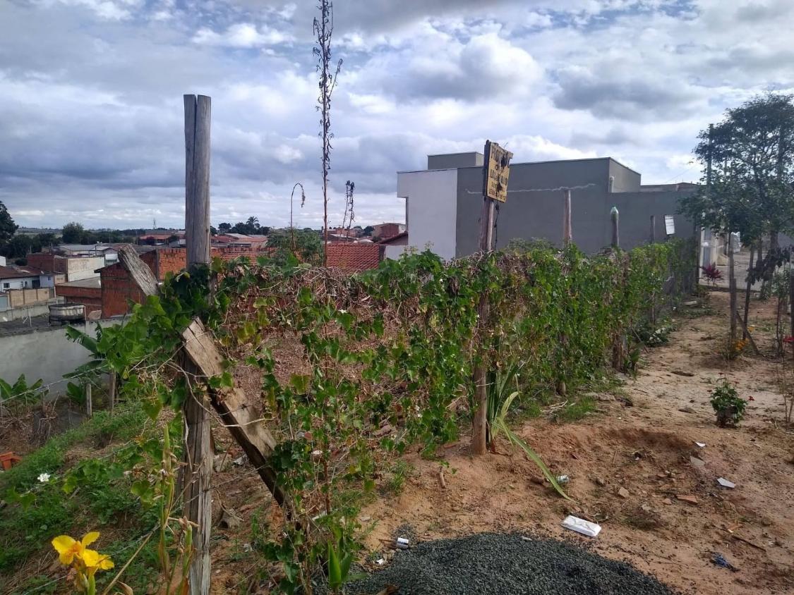 Terreno à venda - Foto 4