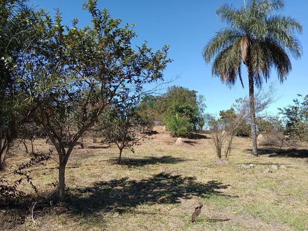 Loteamento e Condomínio à venda - Foto 1