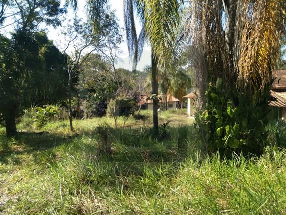 Fazenda à venda com 3 quartos, 20000m² - Foto 6