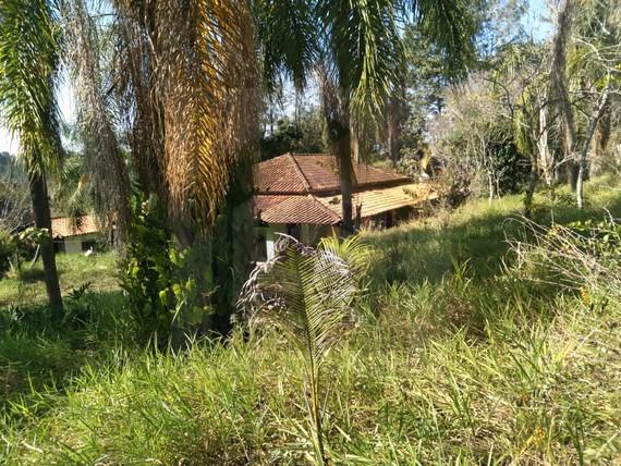 Fazenda à venda com 3 quartos, 20000m² - Foto 8