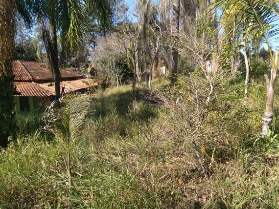 Fazenda à venda com 3 quartos, 20000m² - Foto 10