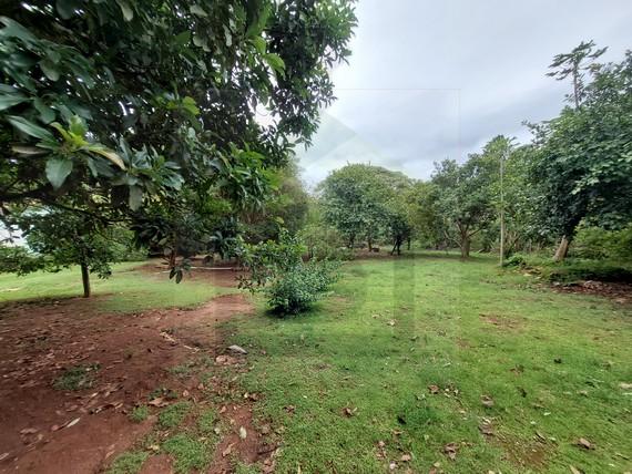 Fazenda à venda, 4000m² - Foto 29